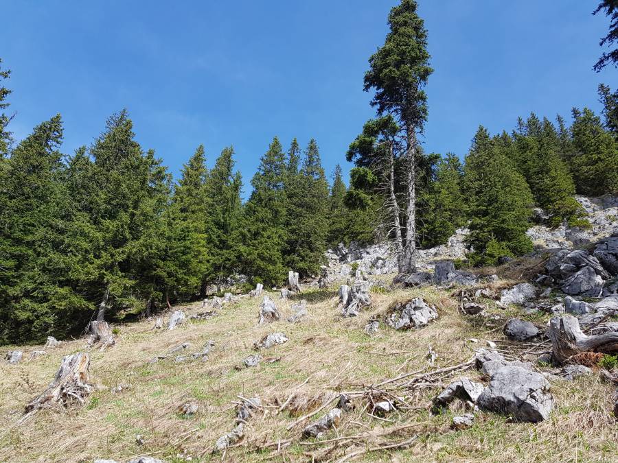 20180501_102602.jpg