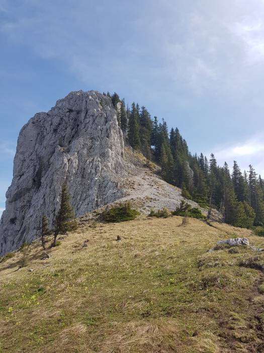 20180501_104231.jpg