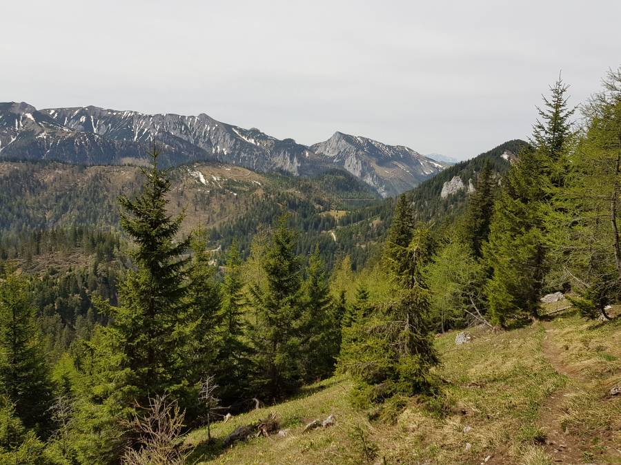 20180501_115557.jpg