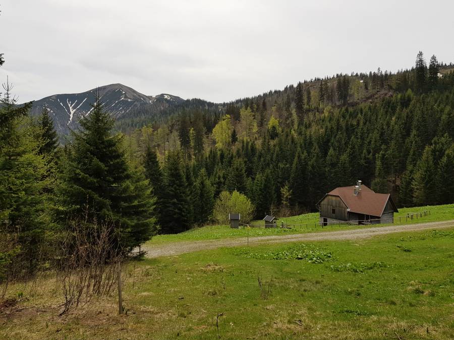 20180501_122224.jpg