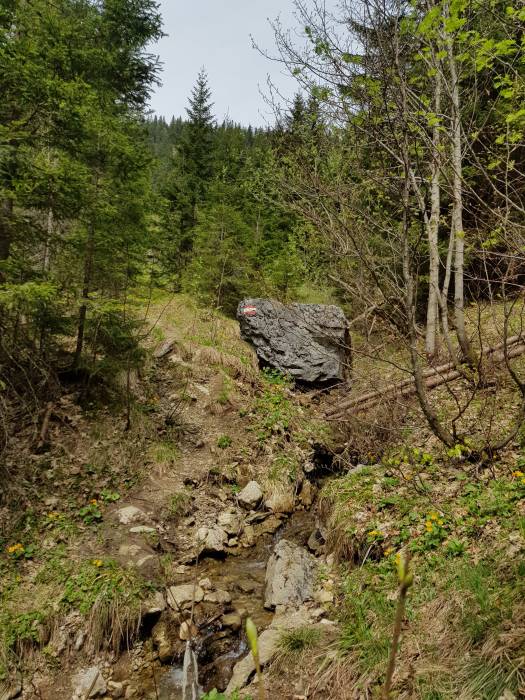 20180501_122626.jpg