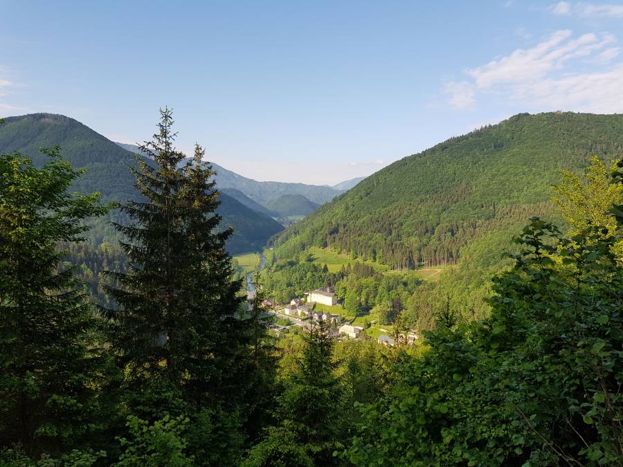 20180512_081233.jpg