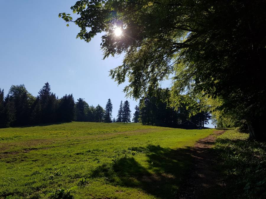 20180512_090650.jpg