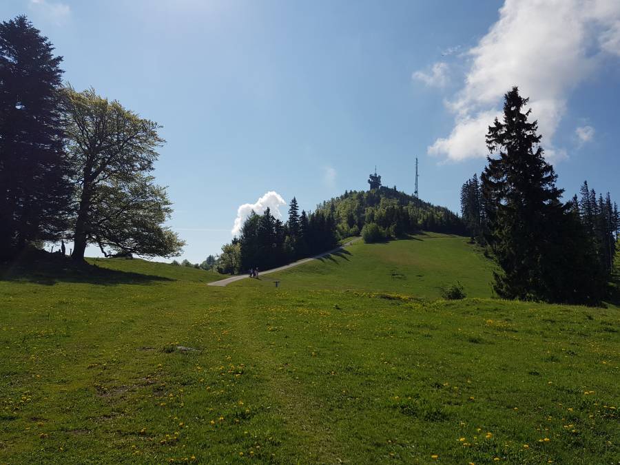 20180512_092558.jpg