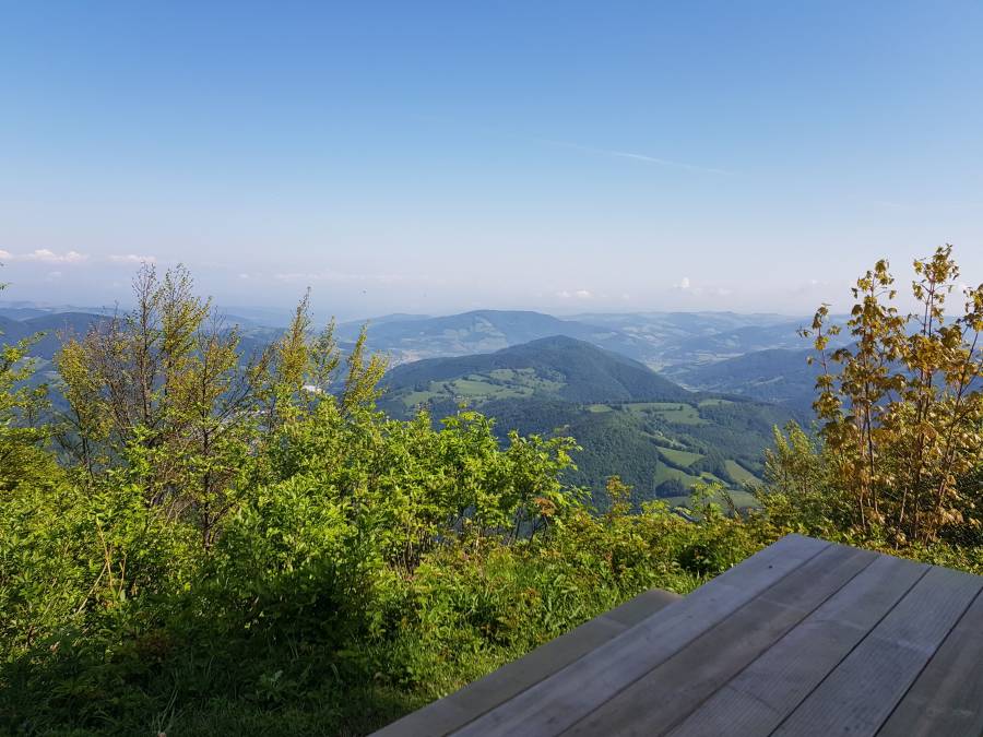 20180512_094330.jpg