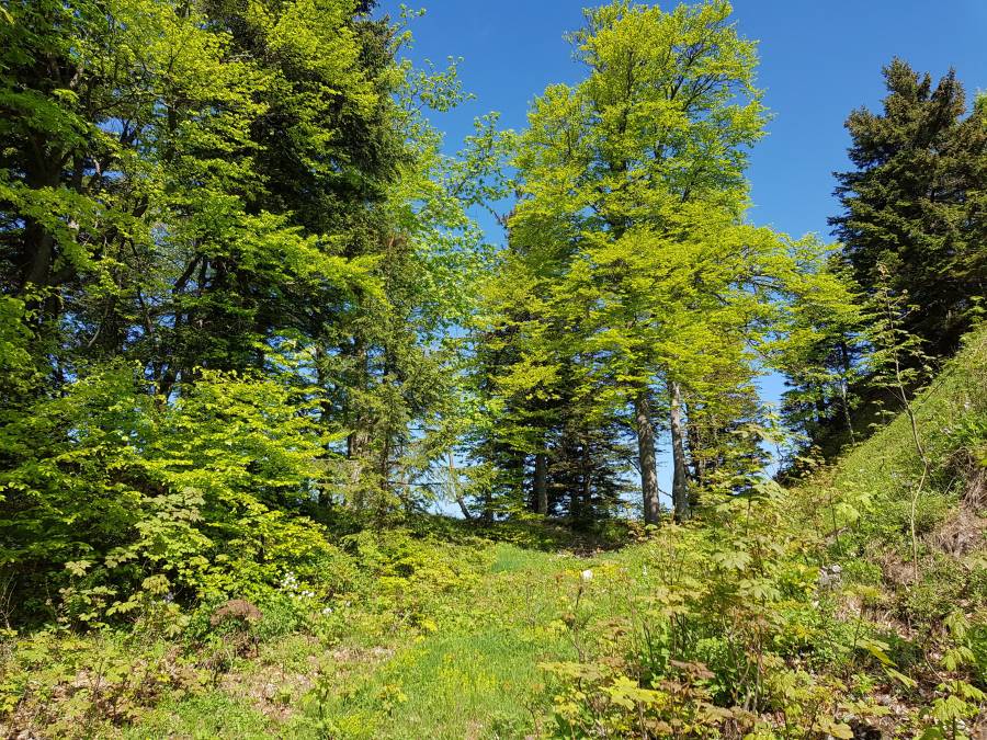 20180512_100548.jpg