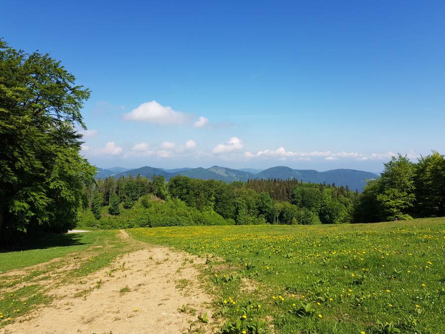 20180512_103317.jpg