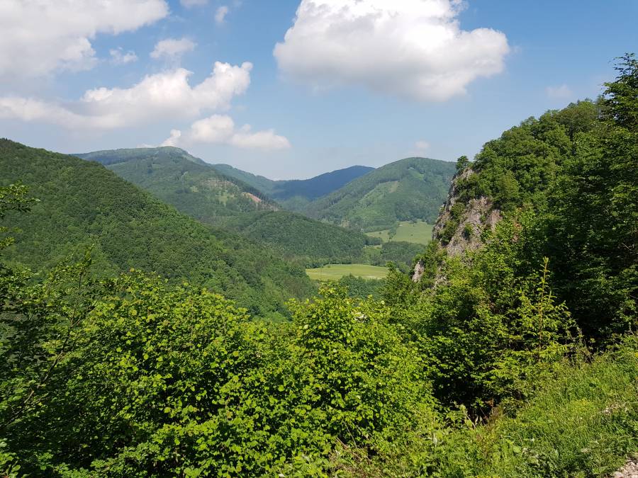 20180512_111436.jpg