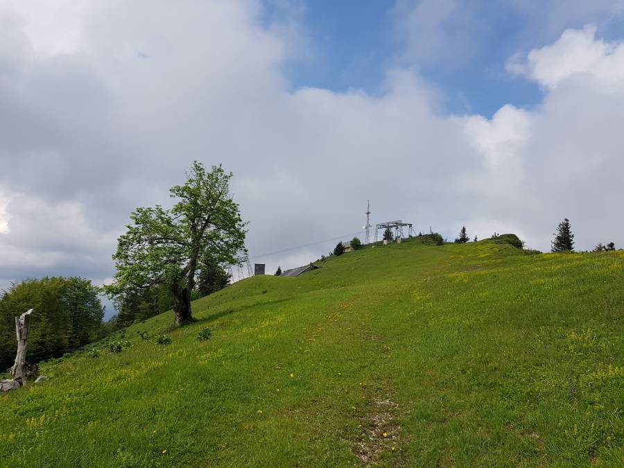 20180519_104449.jpg