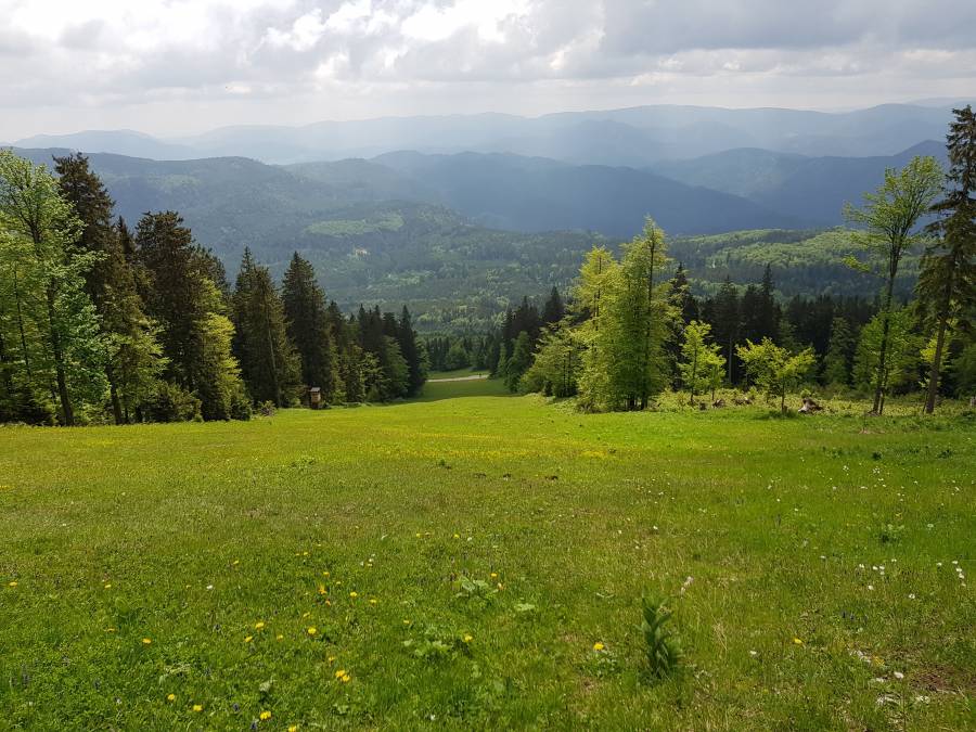 20180519_112504.jpg