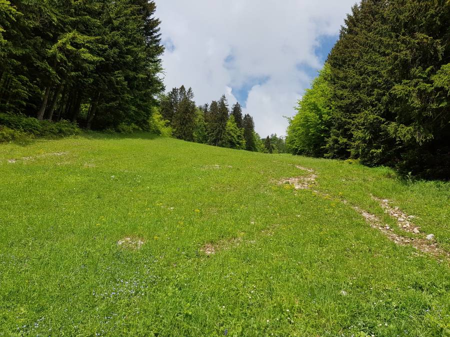 20180519_113449.jpg
