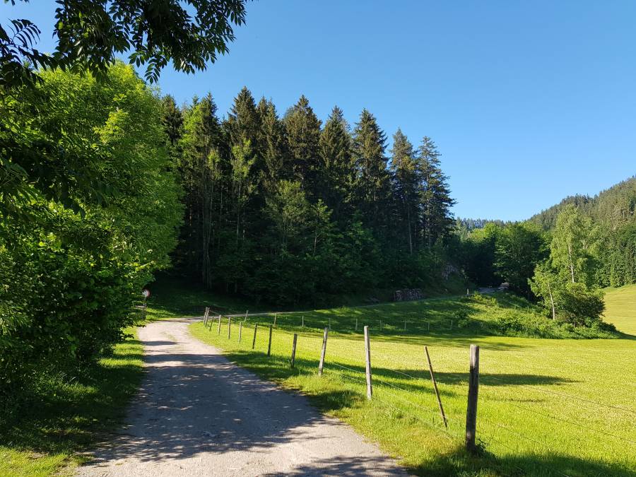 20180526_084003.jpg