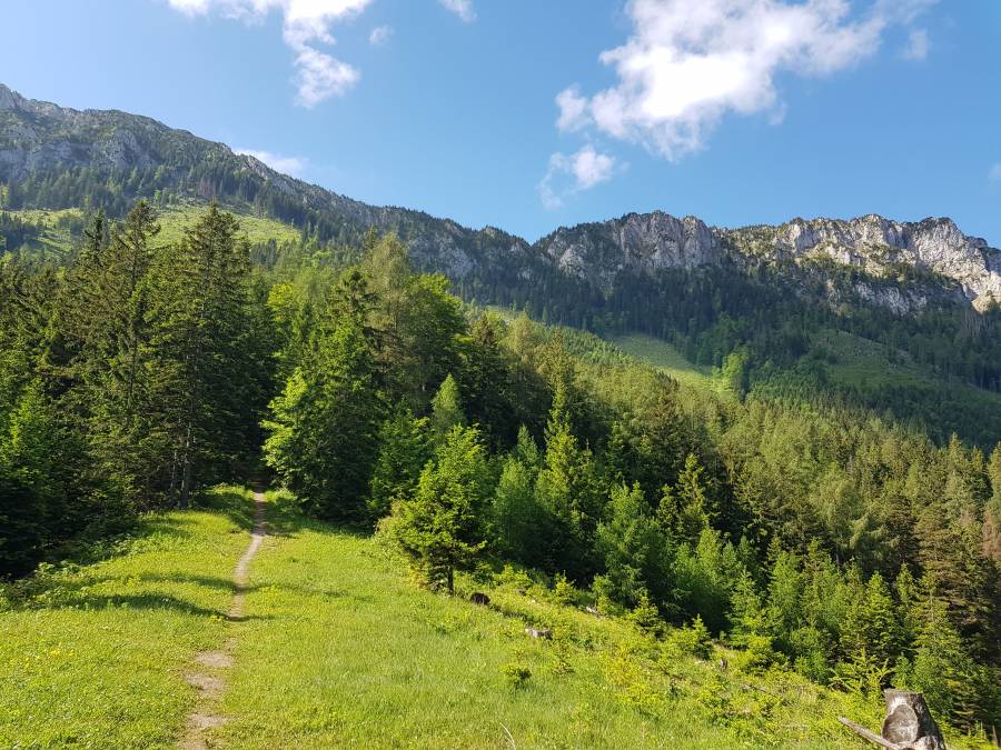 20180526_092200.jpg
