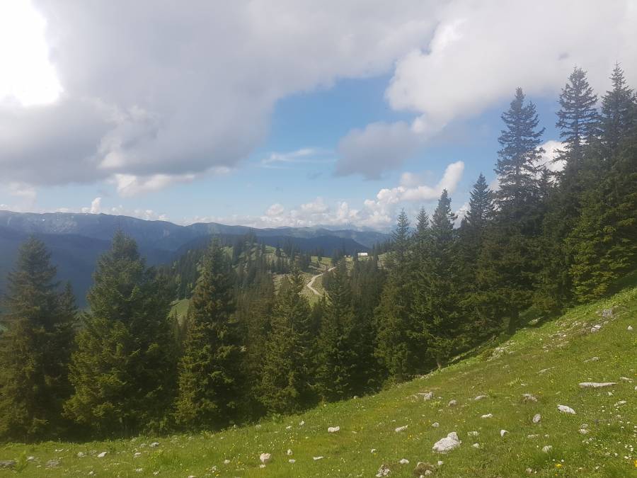 20180526_103231.jpg