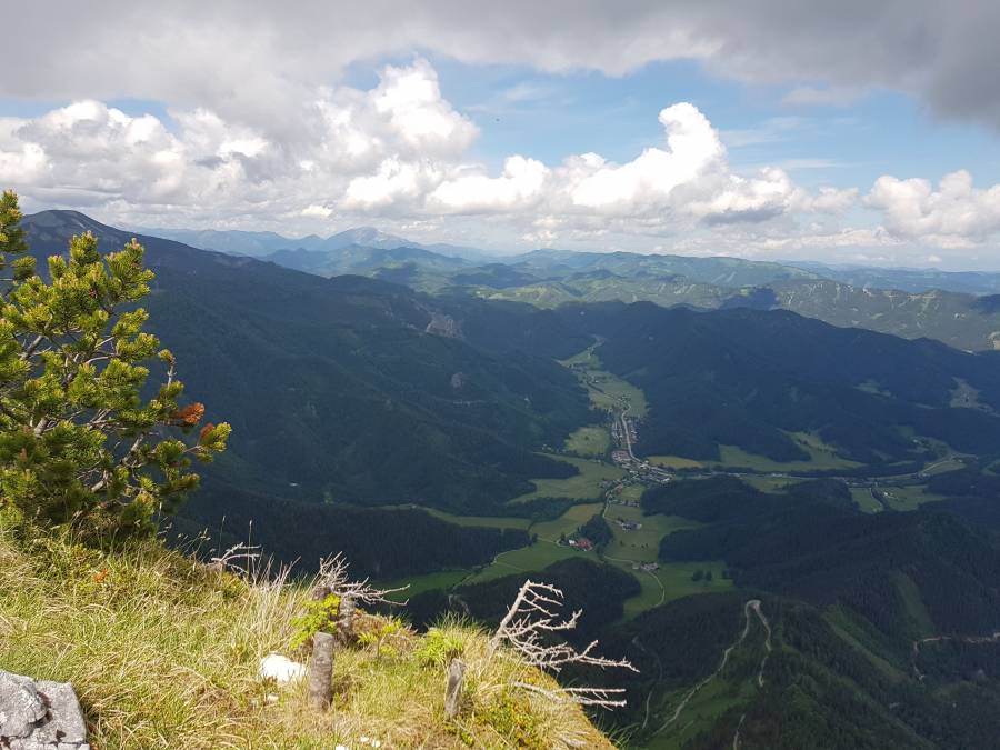 20180526_110239.jpg