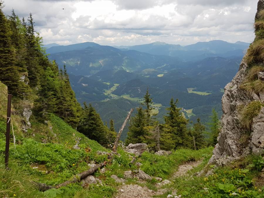 20180526_121455.jpg