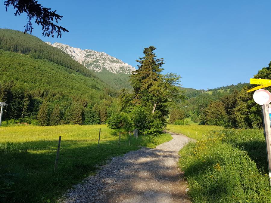 20180531_064521.jpg