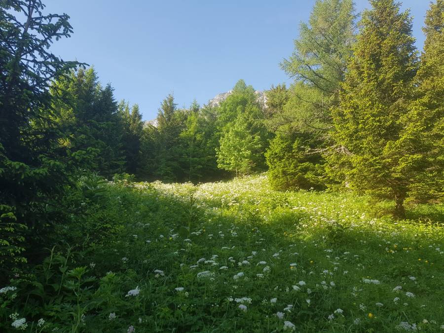 20180531_073032.jpg