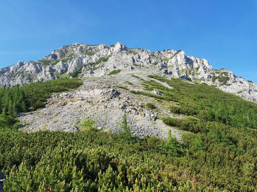 20180531_075801.jpg