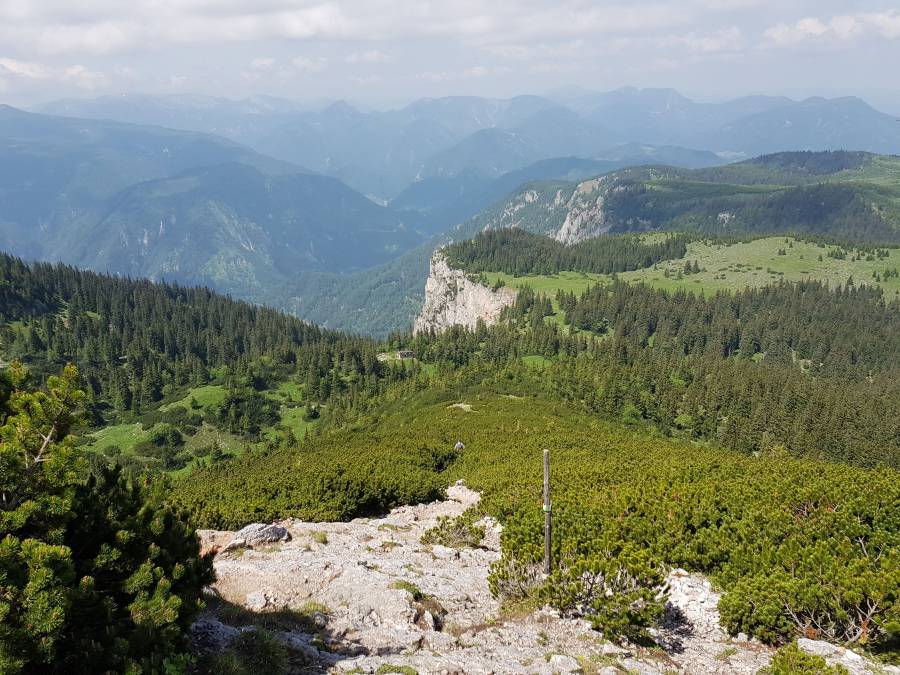 20180531_111421.jpg