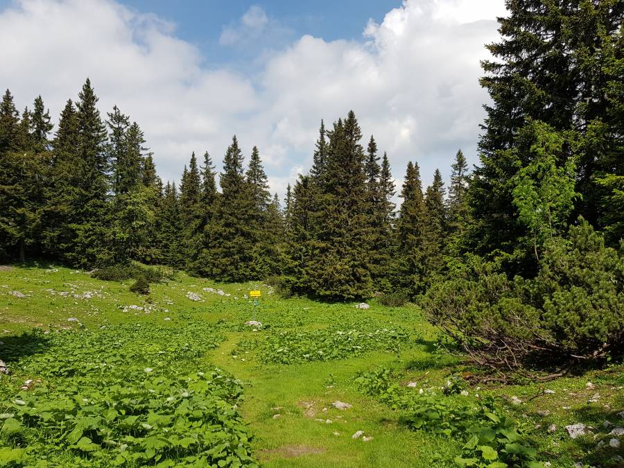 20180531_113032.jpg