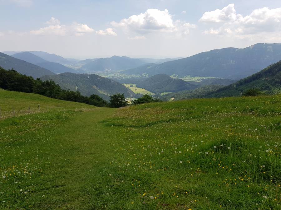 20180531_123606.jpg