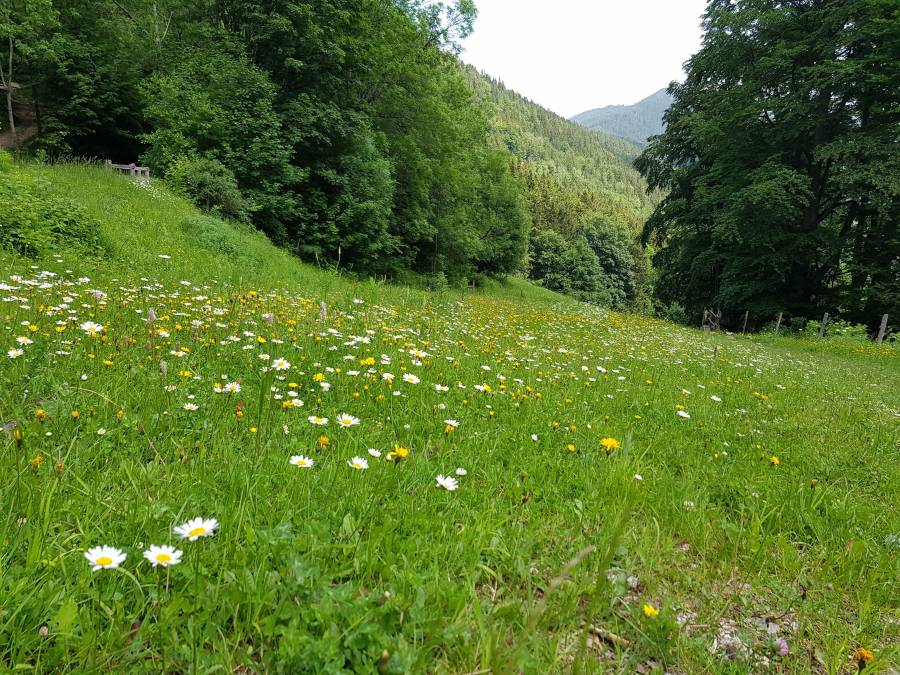 20180531_124954.jpg