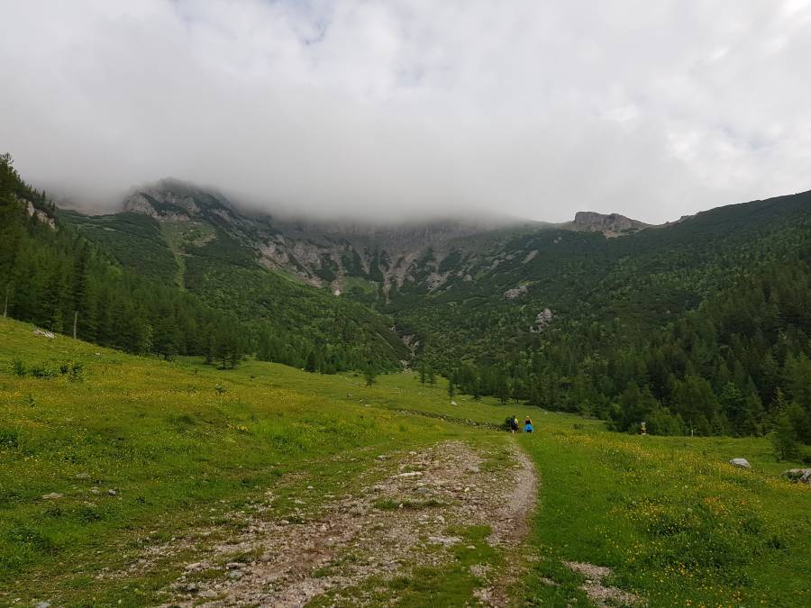 20180602_074052.jpg