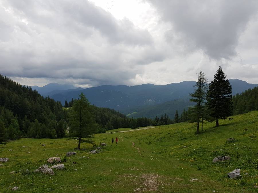 20180602_101355.jpg
