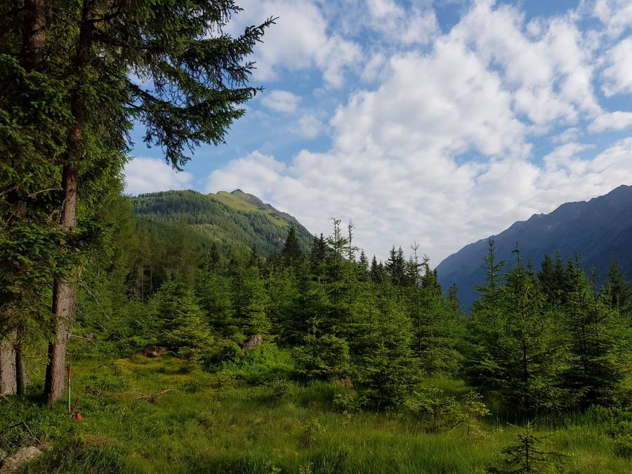 20180617_074213.jpg