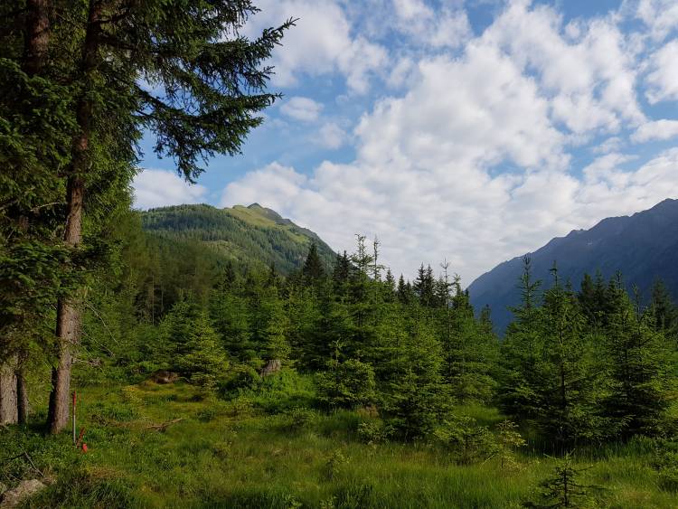 20180617_074213.jpg