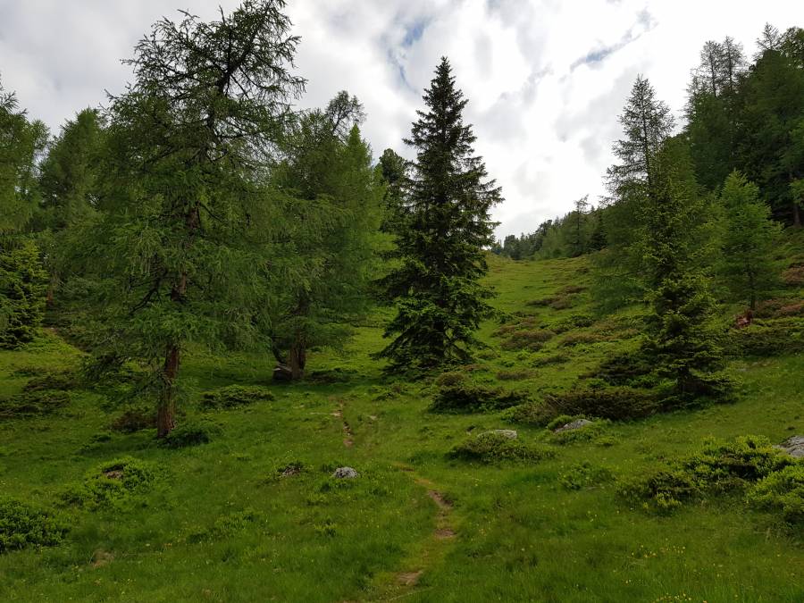 20180617_084306.jpg