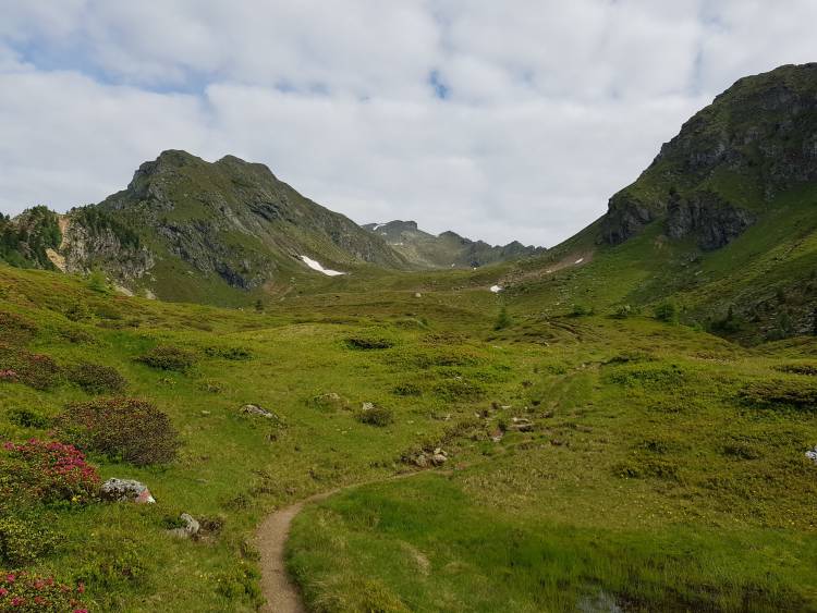 20180617_085630.jpg