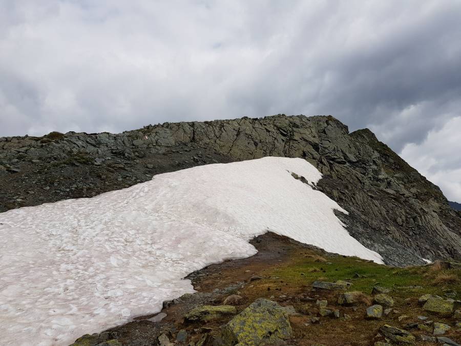20180617_103826.jpg