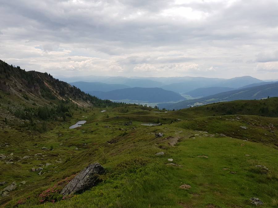 20180617_115929.jpg