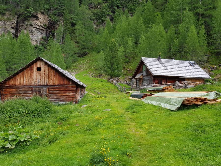 20180618_095441.jpg