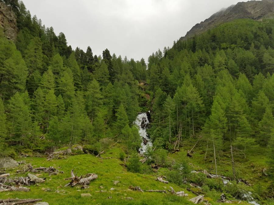 20180618_101512.jpg