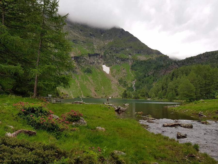 20180618_103126.jpg