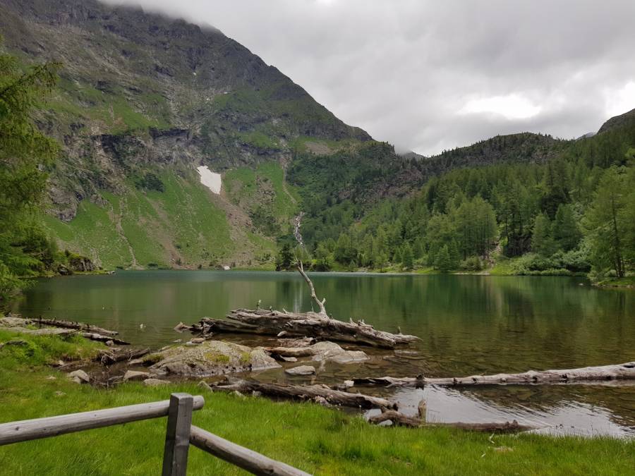 20180618_112703.jpg
