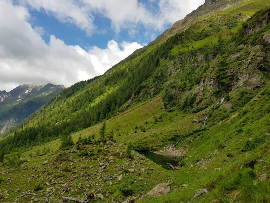 20180618_114052.jpg