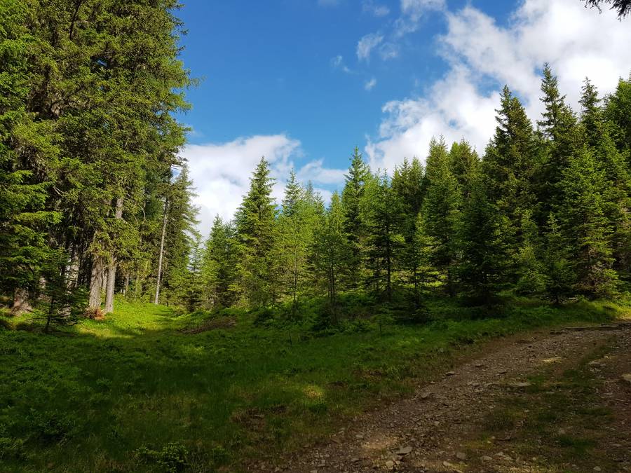 20180619_090641.jpg