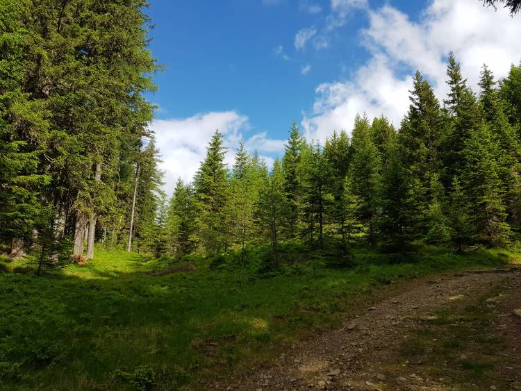 20180619_090641.jpg