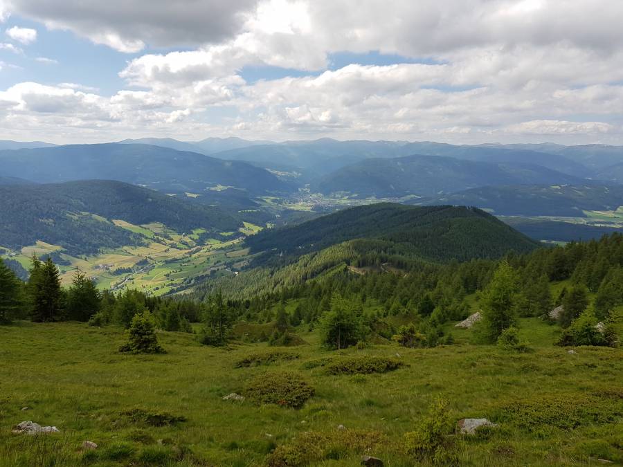 20180619_095924.jpg