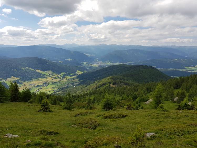20180619_095924.jpg