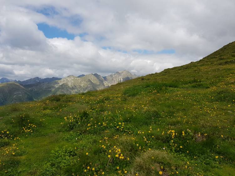 20180619_104810.jpg