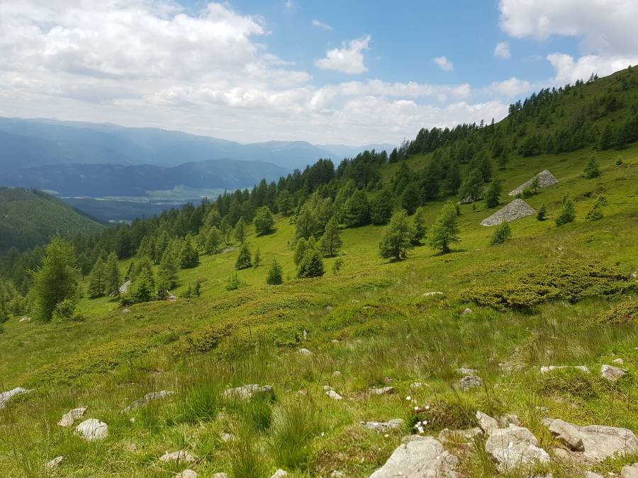 20180619_123100.jpg
