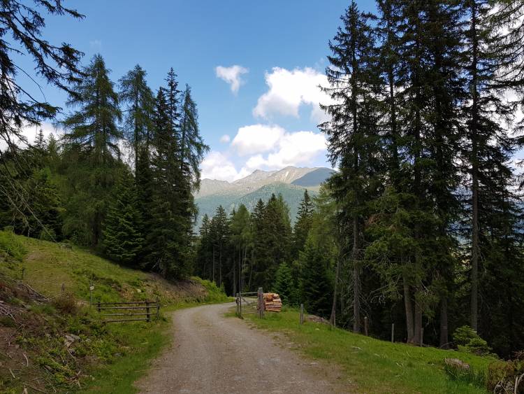 20180619_133432.jpg