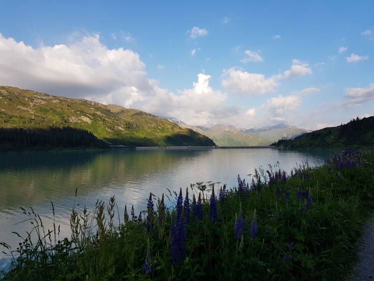 20180621_070317.jpg
