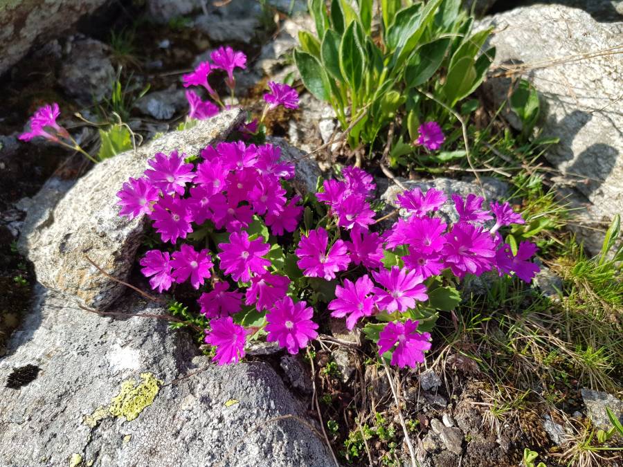 20180621_084327.jpg