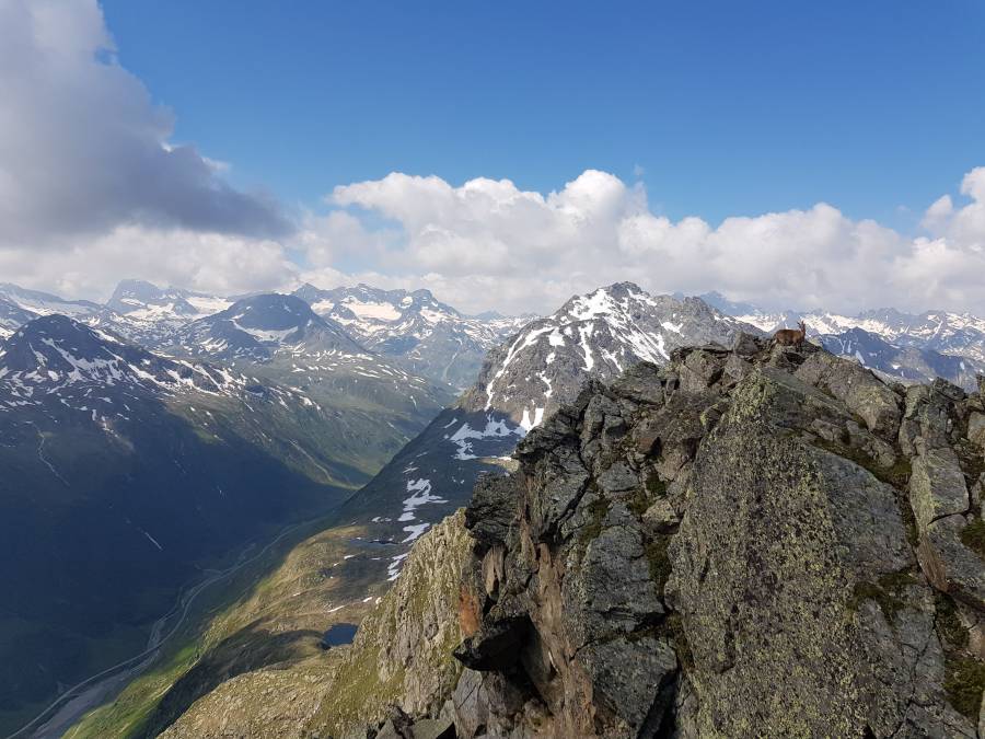 20180621_102957.jpg